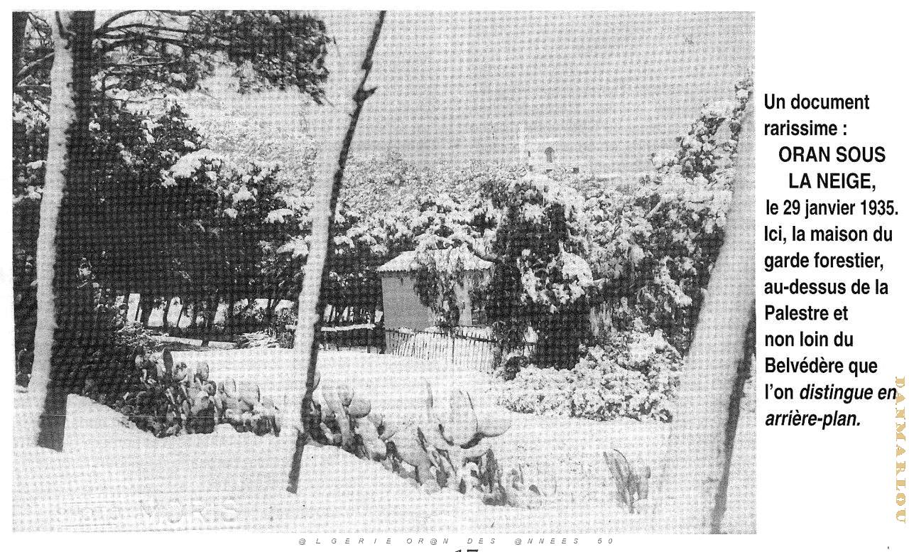 G 061- Planteurs.jpg